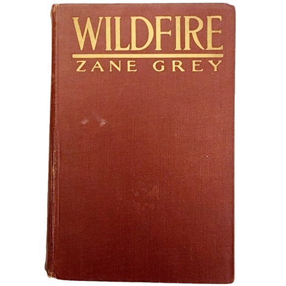 1917 Wildfire Zane Grey First Edition Western Illustrated Vintage HC WHBS - Picture 1 of 4